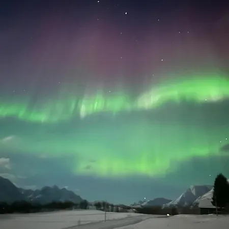 Aurora House Under The Mountain *