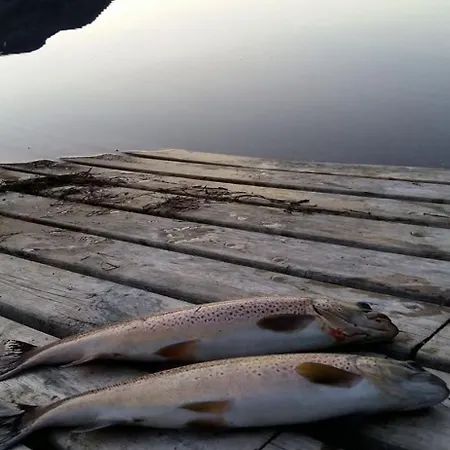 Aurora House Under The Mountain Tromso